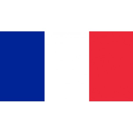 Francês Iniciação - Nível A1